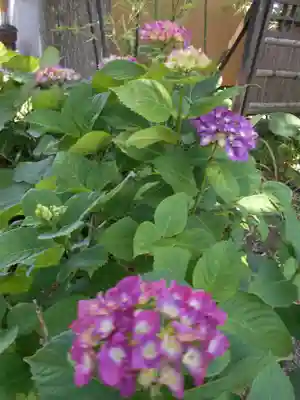 三島八幡神社(福島県)