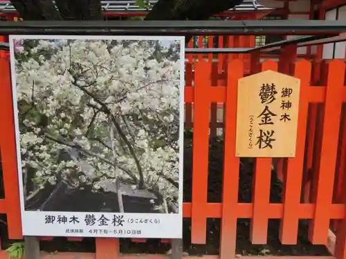 金櫻神社のその他建物