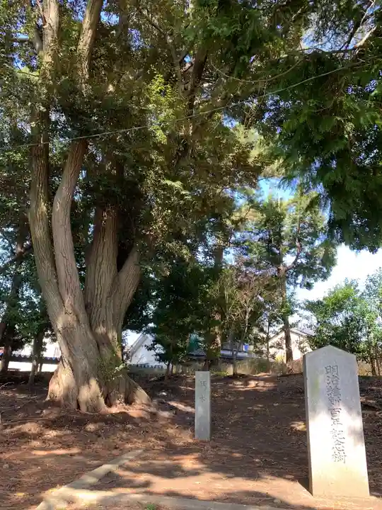 能見神明宮(元能見)の自然