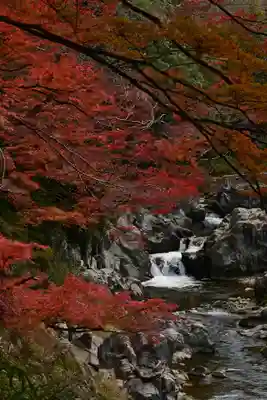 大瀧神社(滋賀県)