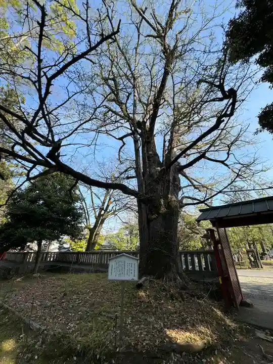 一之宮貫前神社(群馬県)