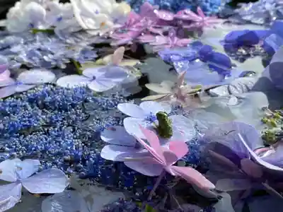 円通寺の手水舎