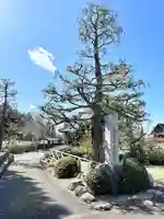 善福寺(滋賀県)