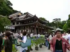 長谷寺の建物その他