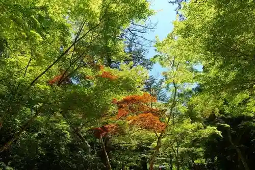 四宮神社の自然