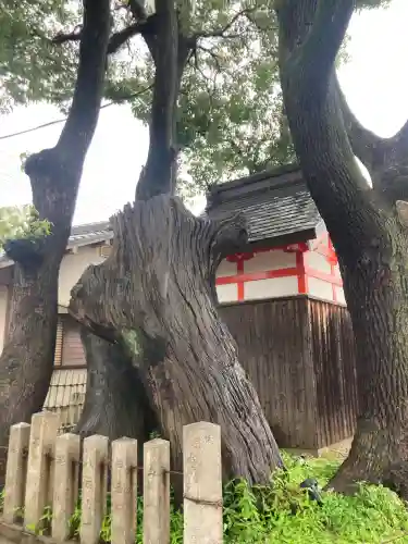 姫嶋神社(大阪府)