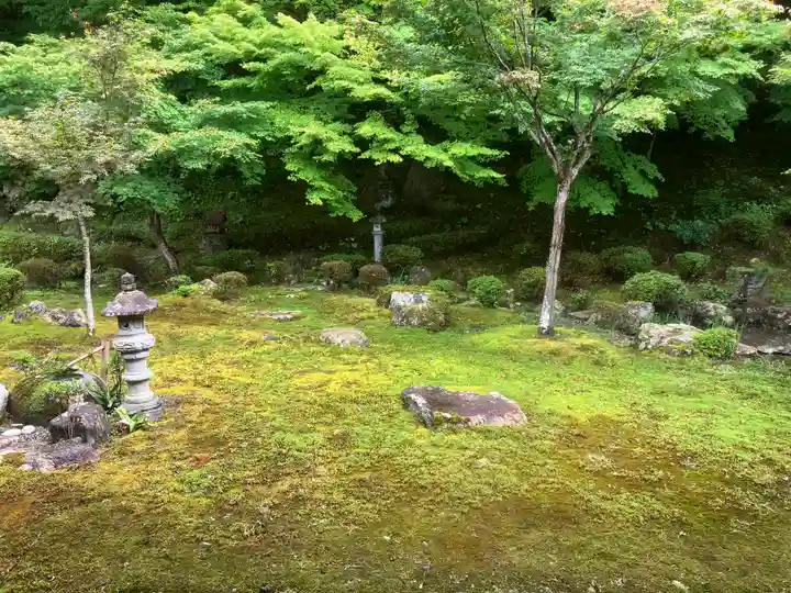 常高寺(福井県)
