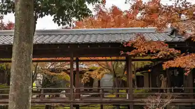 建仁寺（建仁禅寺）(京都府)