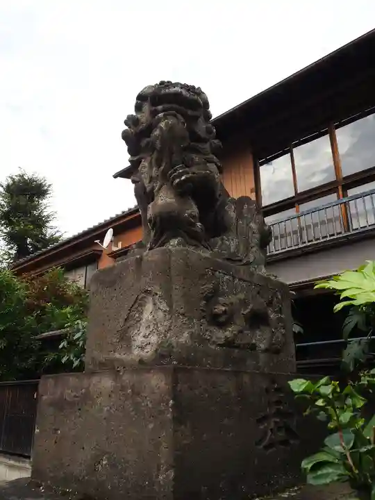 高円寺天祖神社の狛犬
