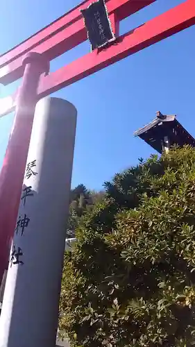武州柿生琴平神社(神奈川県)