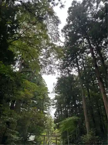 彌彦神社(新潟県)