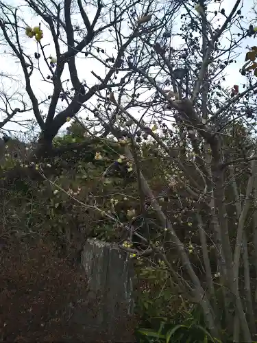 貫井神社(東京都)