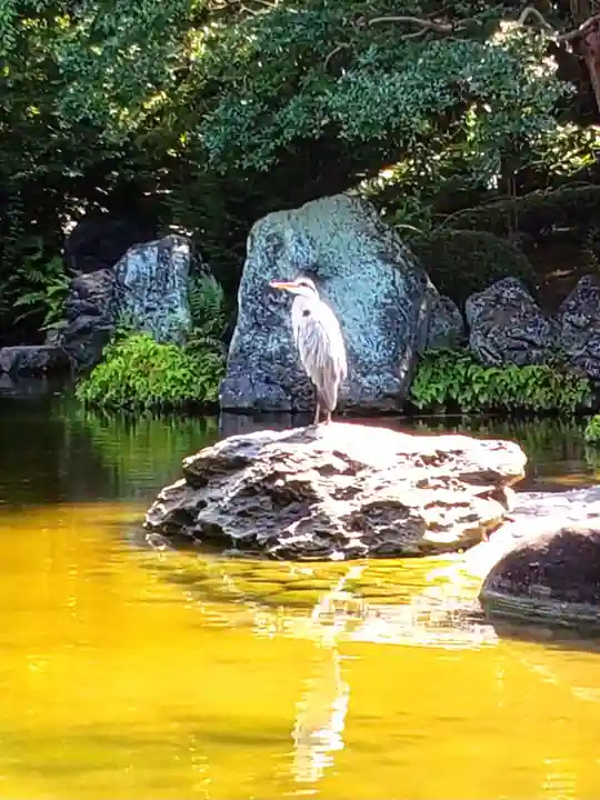 靖國神社(東京都)