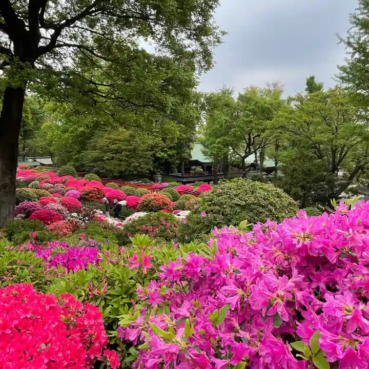 根津神社の自然