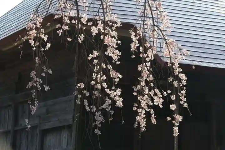 正観音堂の自然