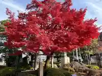 喜多院(埼玉県)