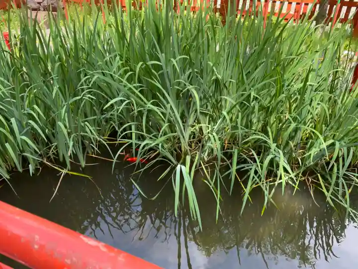 滝上神社(北海道)