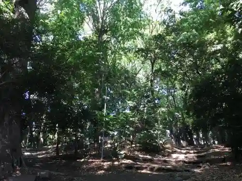 代々木八幡宮の自然