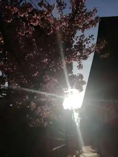 櫛田神社の自然