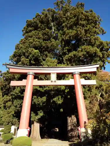 河口浅間神社の鳥居