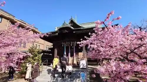 桜神宮の本殿・本堂