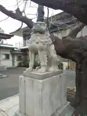 旗岡八幡神社の狛犬