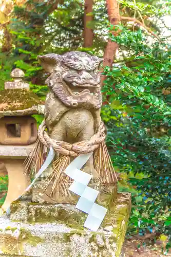 白鳥神社の狛犬