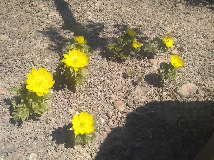 雨竜 専福寺(北海道)