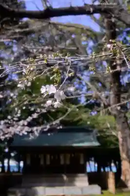 峯ヶ岡八幡神社(埼玉県)