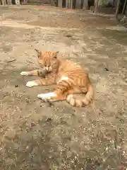 縣主神社の動物