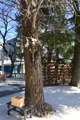 草加神社(埼玉県)
