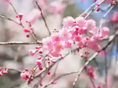 今市報徳二宮神社(栃木県)