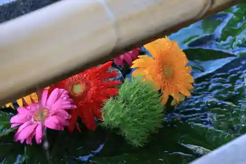 豊景神社の手水