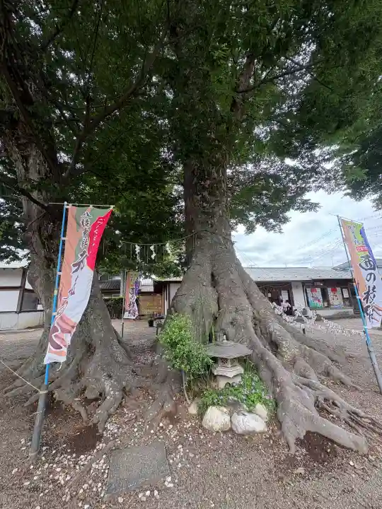 八枝神社(埼玉県)