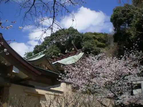 光雲神社の建物その他