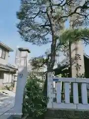 住吉神社の建物その他