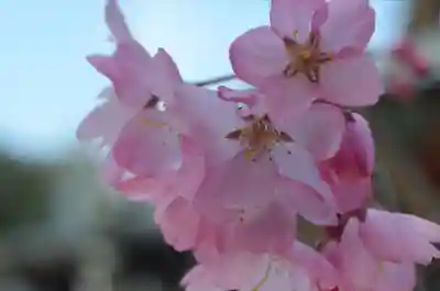 久遠寺(山梨県)
