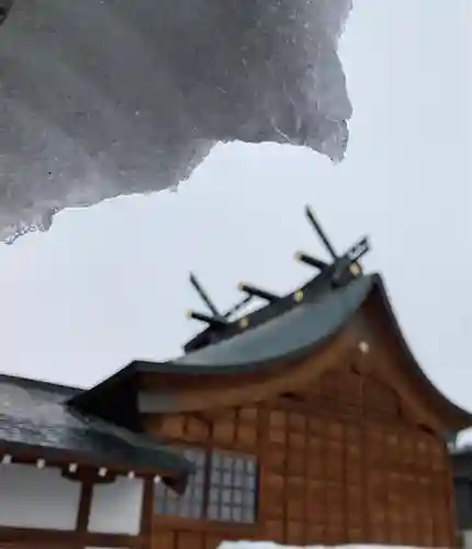 總社 和田八幡宮の本殿