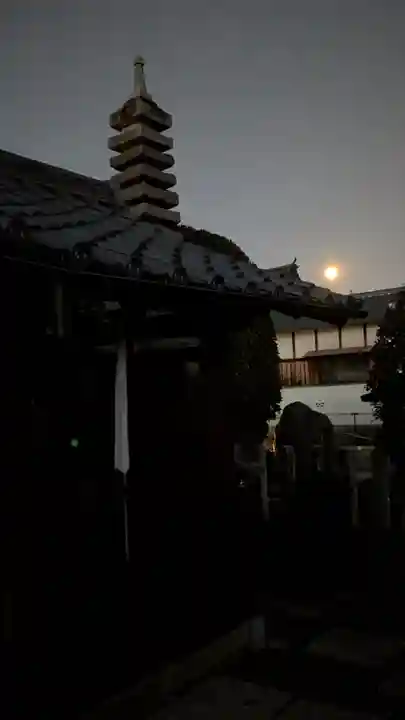 大松禅寺(京都府)