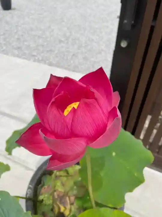 生蓮寺(奈良県)