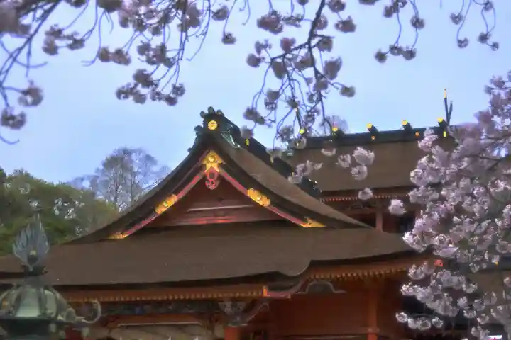 富士山本宮浅間大社(静岡県)