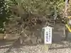 矢奈比賣神社(見付天神)の庭園