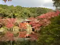 醍醐寺(京都府)