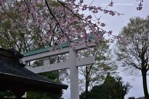 出雲大社相模分祠の鳥居