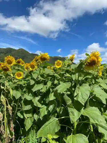天神社(岡山県)