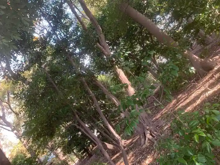 泉穴師神社の{uncategorized: "未分類", other: "その他", undefined: "問題あり", building: "その他建物", grave: "お墓", sacred_gate: "鳥居", guardian: "狛犬", statue: "像", buddha: "仏像", history: "歴史", nature: "自然", garden: "庭園", animal: "動物", pagoda: "塔", temizu: "手水舎", mountain_gate: "山門・神門", sanctuary: "本殿・本堂", subordinate: "末社・摂社", art: "芸術", scenery: "景色", jizo: "地蔵", ema: "絵馬", goshuin: "御朱印", omikuji: "おみくじ", items: "授与品その他", amulet: "お守り", goshuincho: "御朱印帳", eats: "食事", festival: "お祭り", votive_dance: "神楽", shichigosan: "七五三参", wedding: "結婚式", experience: "体験その他", initially: "初詣", around: "周辺", anti_infection: "感染症対策"}