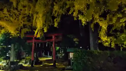 岩戸落葉神社の鳥居