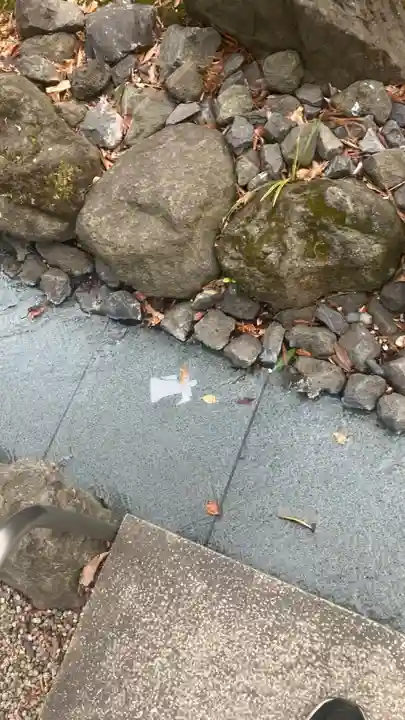 大國魂神社の御朱印