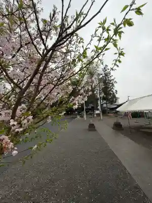 浅沼八幡宮の{uncategorized: "未分類", other: "その他", undefined: "問題あり", building: "その他建物", grave: "お墓", sacred_gate: "鳥居", guardian: "狛犬", statue: "像", buddha: "仏像", history: "歴史", nature: "自然", garden: "庭園", animal: "動物", pagoda: "塔", temizu: "手水舎", mountain_gate: "山門・神門", sanctuary: "本殿・本堂", subordinate: "末社・摂社", art: "芸術", scenery: "景色", jizo: "地蔵", ema: "絵馬", goshuin: "御朱印", omikuji: "おみくじ", items: "授与品その他", amulet: "お守り", goshuincho: "御朱印帳", eats: "食事", festival: "お祭り", votive_dance: "神楽", shichigosan: "七五三参", wedding: "結婚式", experience: "体験その他", initially: "初詣", around: "周辺", anti_infection: "感染症対策"}