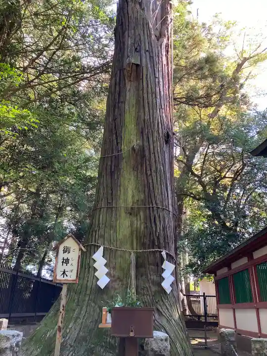 一言主神社(茨城県)